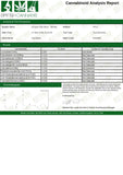 257422554.webp