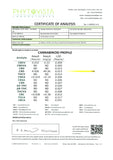 259186205.webp