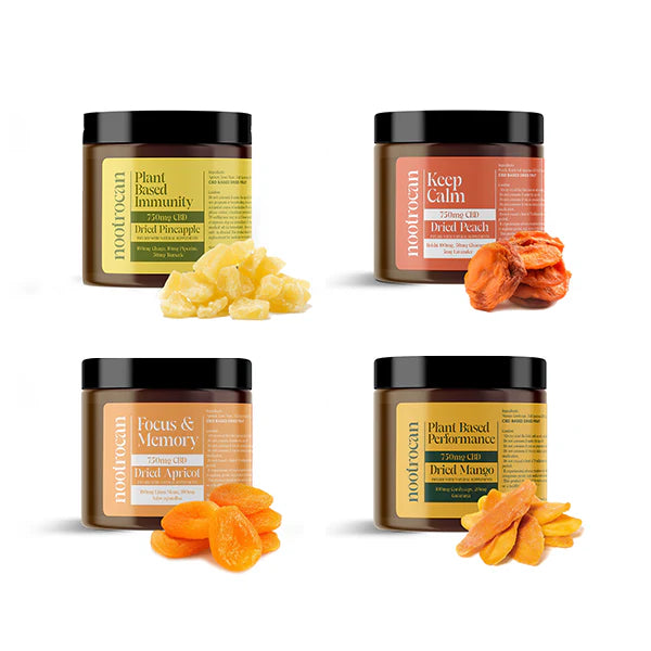Nootrocan 750mg Full Spectrum CBD Nootropic Dried Fruits - 300g