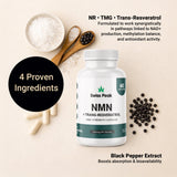 Nicotinamide Capsules with Trans-Resveratrol Vitamin B3 Supplement for Cellular Energy & Metabolism Support