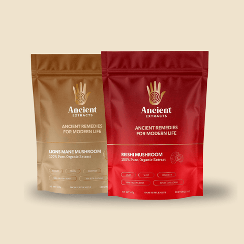 Mindful Pair Lion's Mane & Reishi Extracts