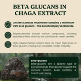Chaga Mushroom Extract Powder