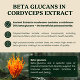 Hormone Pair Reishi & Cordyceps Extracts