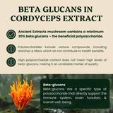 Cordyceps Mushroom Extract Powder