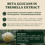 Tremella Mushroom Extract Powder