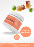 CBD Gummies - Fruit Flavoured