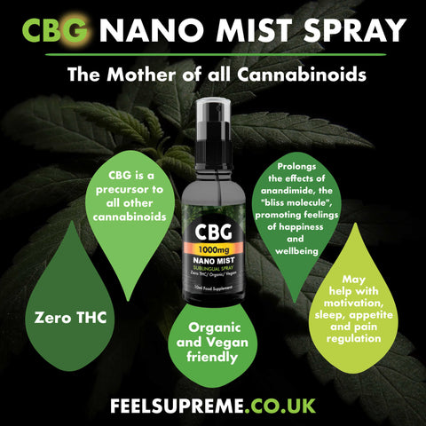 CBG Nano Spray - 500mg