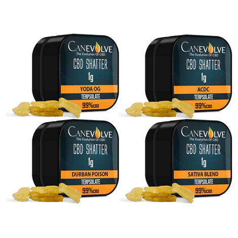 Canevolve CBD Shatter 99% 1g – Pure Terpene Infused CBD Concentrate