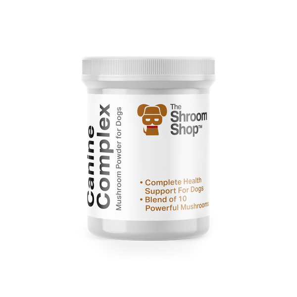 Canine Complex Mushroom Powder