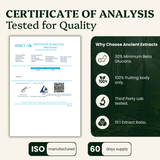Mindful Pair Lion's Mane & Reishi Extracts
