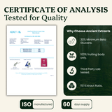 Beauty Pair Tremella & Chaga Mushroom Extracts