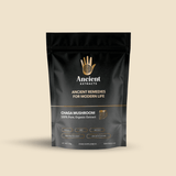 Chaga Mushroom Extract Powder