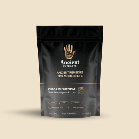 Chaga Mushroom Extract Powder