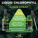 Liposomal Chlorophyll Liquid Drops