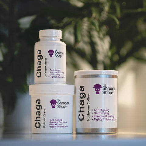 Chaga Mushroom Powder