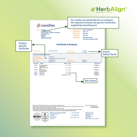 Herbalign Digestive Support Capsules – Natural Gut Health Supplement with Ginger, Peppermint, Fennel, Probiotics & Digestive Enzymes for Bloating Relief & Digestive Balance