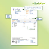 Herbalign Gas Support Capsules – 1000mg Activated Charcoal for Bloating, Digestive Relief & Gut Health