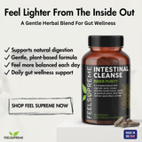 Intestinal Cleanse
