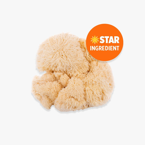 Orange County Lion's Mane Extract 240,000mg