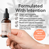 CBD Mend Oil 6000mg with Terpenes