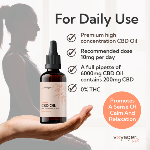 CBD Mend Oil 6000mg with Terpenes