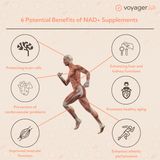 Pure NMN Supplement Powder 100g 3-Month Supply