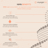 Pure NMN Supplement Powder 100g 3-Month Supply