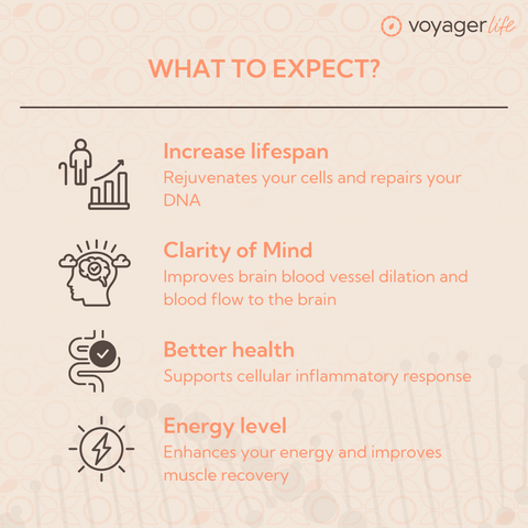 Pure NMN Supplement Powder 100g 3-Month Supply