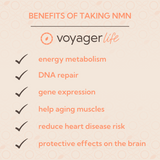 Pure NMN Supplement Powder 100g 3-Month Supply