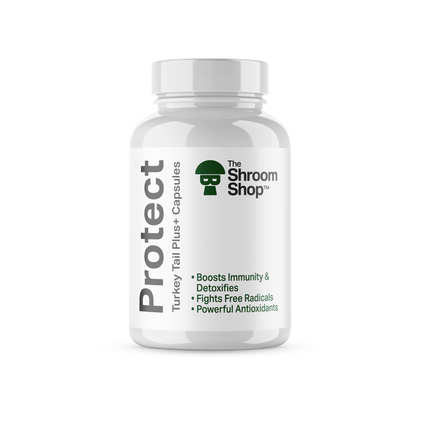 Protect: Turkey Tail+ Capsules