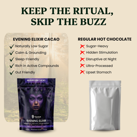 Evening Elixir Mushroom Cacao