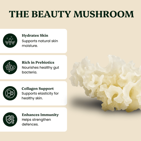 Tremella Mushroom Extract Powder