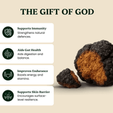 Chaga Mushroom Extract Powder
