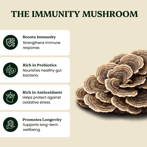 Turkey Tail Mushroom Extract - For Pets