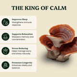 Hormone Pair Reishi & Cordyceps Extracts