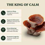 Reishi Mushroom Extract Powder