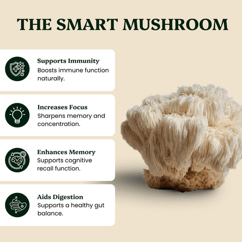 Mindful Pair Lion's Mane & Reishi Extracts