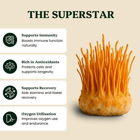 Energy Pair Cordyceps & Chaga Extracts