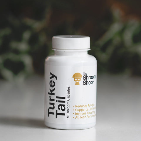 Turkey Tail Mushroom Capsules For Pets