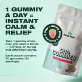 CBD Strawberry Gummies 3200mg - 4800mg | 70 Gummies