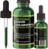 Liposomal Chlorophyll Liquid Drops