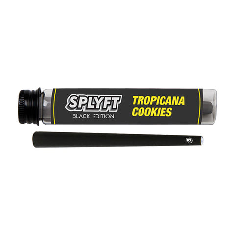 SPLYFT Black Edition Cannabis Terpene Infused Cones – Tropicana Cookies (BUY 1 GET 1 FREE)